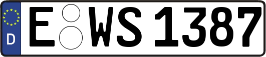 E-WS1387