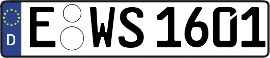 E-WS1601