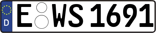 E-WS1691