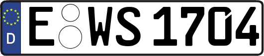 E-WS1704