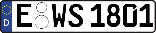E-WS1801