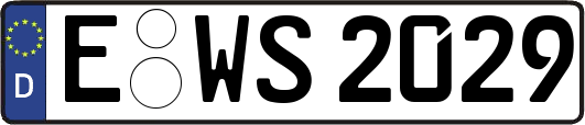 E-WS2029