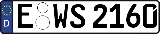 E-WS2160