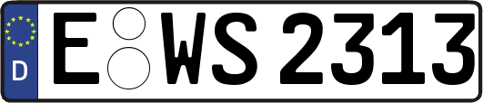 E-WS2313