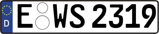 E-WS2319