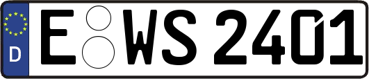 E-WS2401