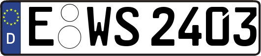 E-WS2403