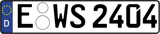 E-WS2404