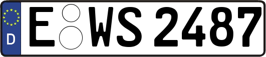 E-WS2487