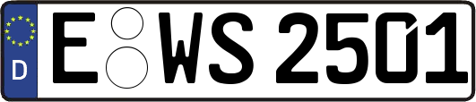 E-WS2501