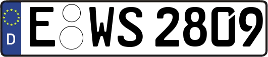E-WS2809
