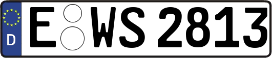 E-WS2813