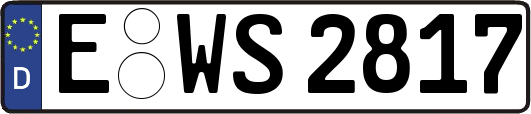 E-WS2817