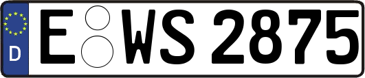 E-WS2875