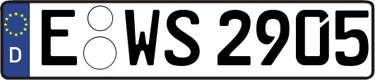 E-WS2905