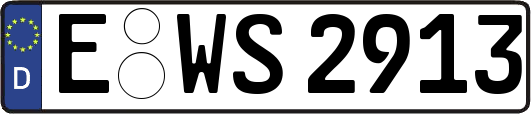 E-WS2913