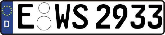 E-WS2933