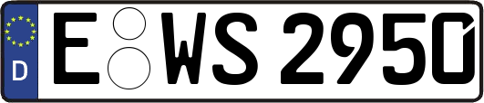 E-WS2950