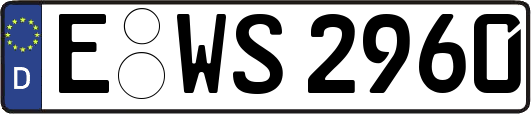 E-WS2960