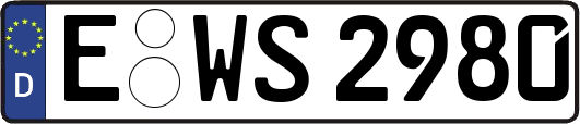 E-WS2980