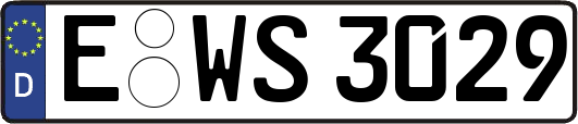 E-WS3029