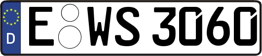 E-WS3060