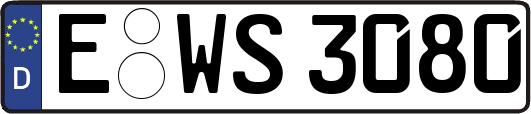 E-WS3080