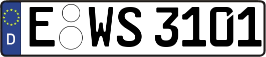 E-WS3101