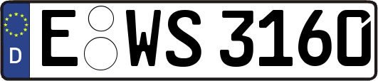 E-WS3160