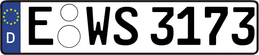 E-WS3173