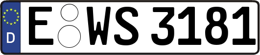 E-WS3181