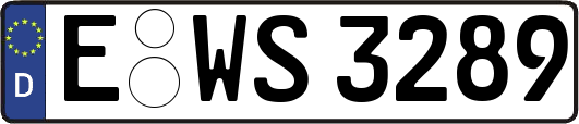 E-WS3289