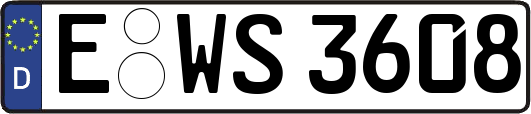 E-WS3608