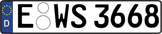 E-WS3668