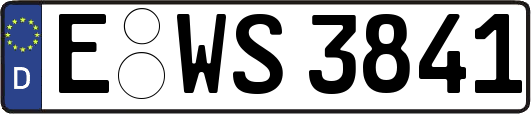 E-WS3841