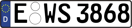 E-WS3868