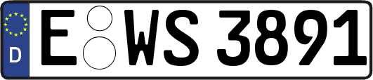 E-WS3891