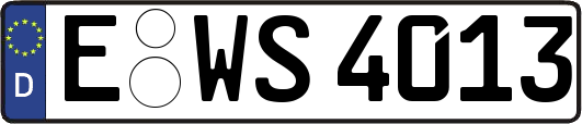 E-WS4013