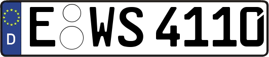 E-WS4110