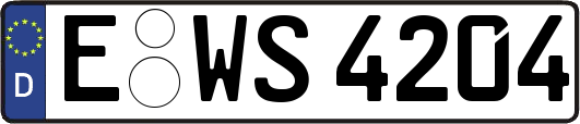 E-WS4204