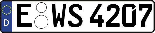 E-WS4207
