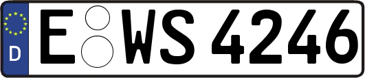 E-WS4246