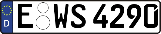 E-WS4290
