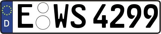 E-WS4299