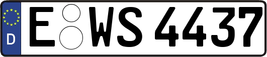 E-WS4437