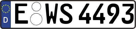 E-WS4493
