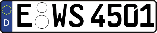 E-WS4501