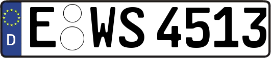 E-WS4513