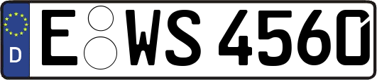 E-WS4560
