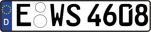 E-WS4608